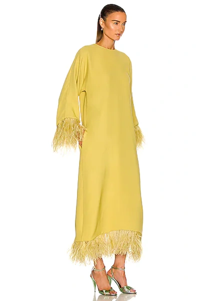 Shop Valentino Feather Dress In Yellow