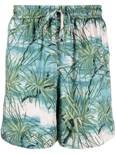 Shop Amiri Floral Aloha Tree Printed Shorts In Blau