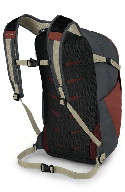 Shop Osprey Daylite® Plus Backpack In Acorn Red/ Tunnel Vision Grey