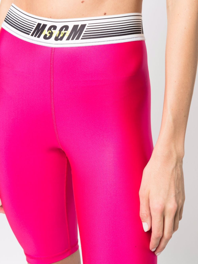 Shop Msgm Logo-waist Cycling Shorts In Rosa