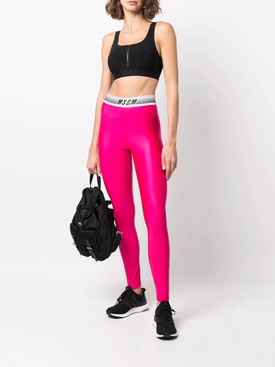 Shop Msgm Shiny Logo-waist Leggings In Rosa