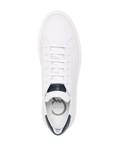 Shop Casadei Panelled Low-top Sneakers In White