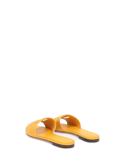 Dolce & Gabbana Women Rubber Beachwear Slides In Ocra