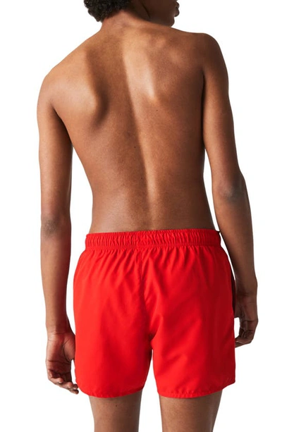 Shop Lacoste Recycled Polyester Swim Trunks In 528 Red/ Navy Blue