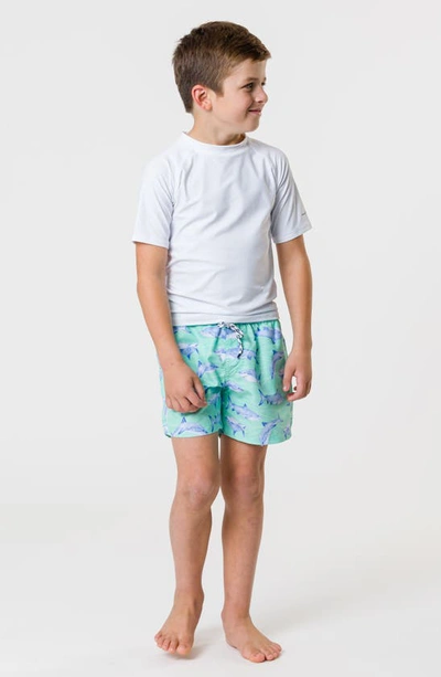 Snapper Rock Little Boy's & Boy's Core Uvb Rashgaurd Top In White