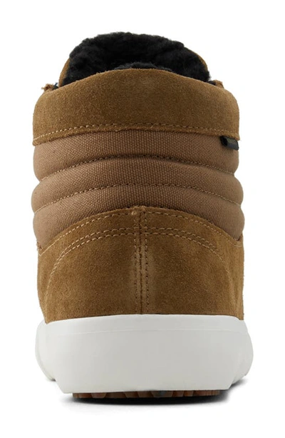 Shop Element Topaz C3 Sneaker In Medium Brown