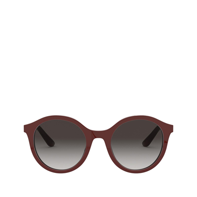 Shop Dolce & Gabbana Dg4358 Bordeaux Female Sunglasses