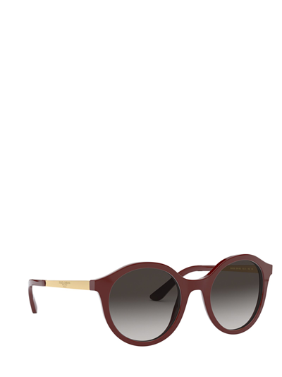 Shop Dolce & Gabbana Dg4358 Bordeaux Female Sunglasses