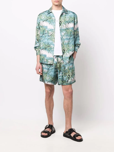 Shop Amiri Palm-tree Print Shorts In Blau