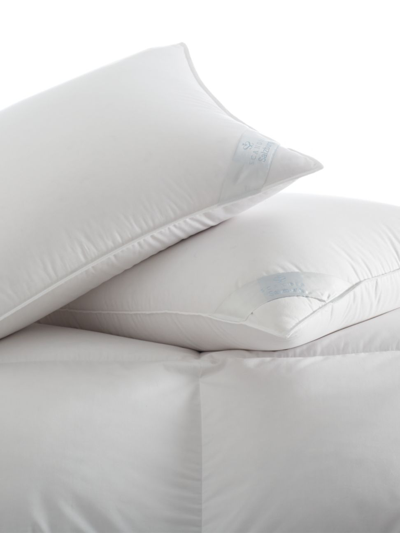 Shop Scandia Home Salzburg Soft Down Pillow In White
