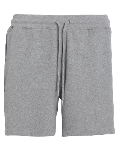Shop Colorful Standard Woman Shorts & Bermuda Shorts Grey Size L Organic Cotton