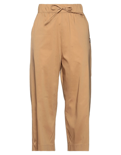 Shop Pinko Woman Pants Brown Size 10 Cotton, Polyamide, Elastane