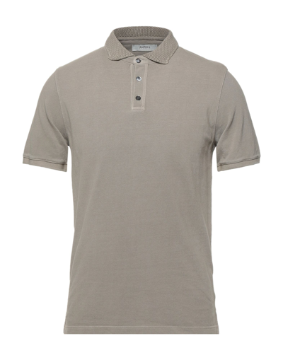 Shop Alpha Studio Man Polo Shirt Dove Grey Size 40 Cotton