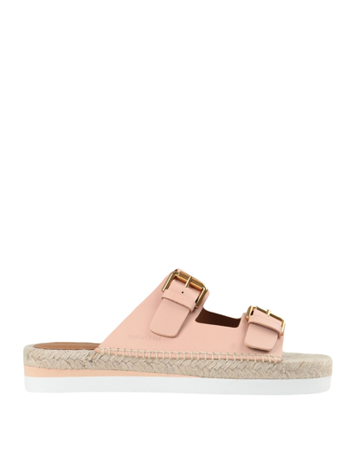 Shop See By Chloé Woman Espadrilles Blush Size 10 Calfskin In Pink