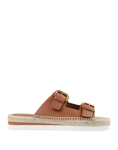 Shop See By Chloé Woman Espadrilles Tan Size 7 Calfskin In Brown