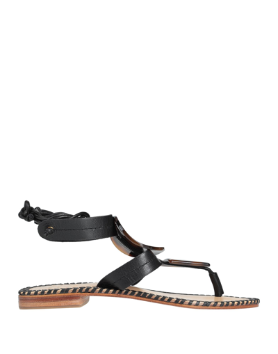 Shop Hadel Woman Thong Sandal Black Size 8 Soft Leather