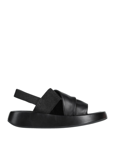 Shop Tosca Blu Woman Sandals Black Size 6 Soft Leather