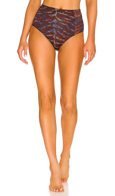 Shop Ulla Johnson Zahara Bikini Bottom In Tiger