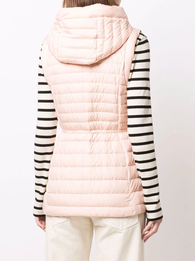 Shop Woolrich Hibiscus Hooded Goose-down Gilet In Rosa