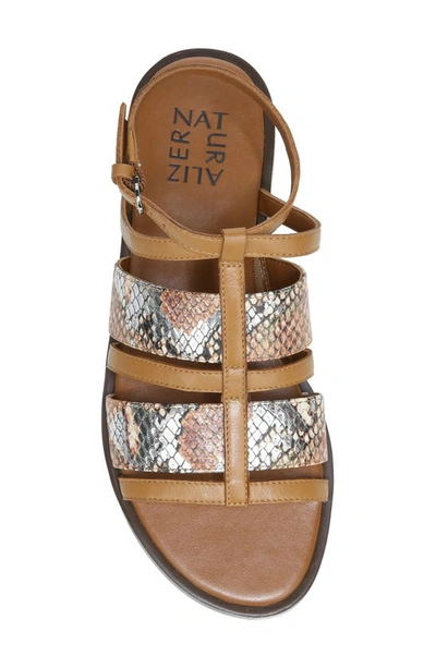 Shop Naturalizer Fianna Sandal In Toffee Leather