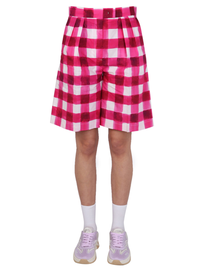 Shop Msgm "check" Shorts In Fuchsia