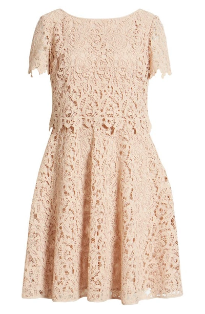 Shop Shani Popover Lace Fit & Flare Dress In Champagne