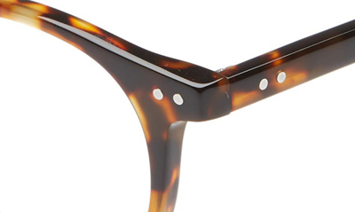 Eyebobs Case Closed Plaid Acetate Reading Glasses In Tortoise / Clear