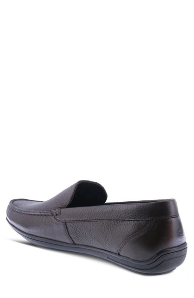 Spring Step Ceto Driving Loafer In Brown
