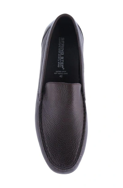Spring Step Ceto Driving Loafer In Brown