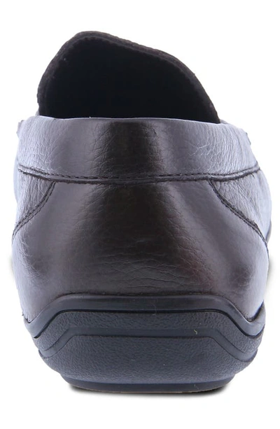 Spring Step Ceto Driving Loafer In Brown