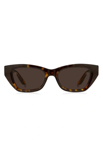 Shop Givenchy 52mm Cat Eye Sunglasses In Havana / Brown