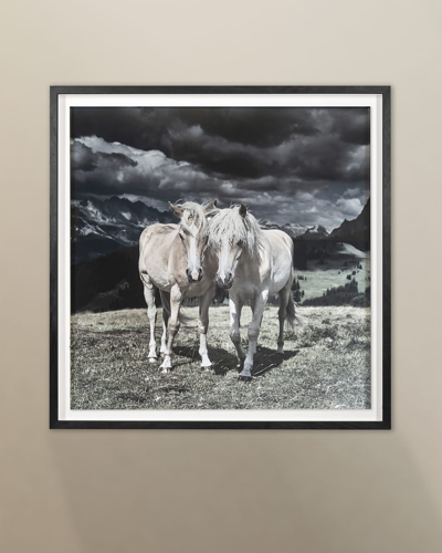 Shop Grand Image Home Horses In Europe Archival Digital Print By Chris Dunker