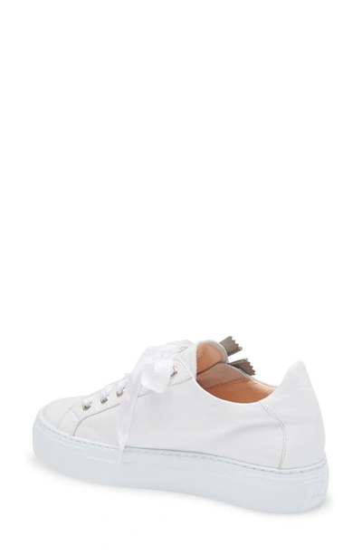 Shop Agl Attilio Giusti Leombruni Double Zip Sneaker In White Leather