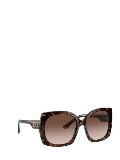 Shop Dolce & Gabbana Dg4385 Havana Female Sunglasses