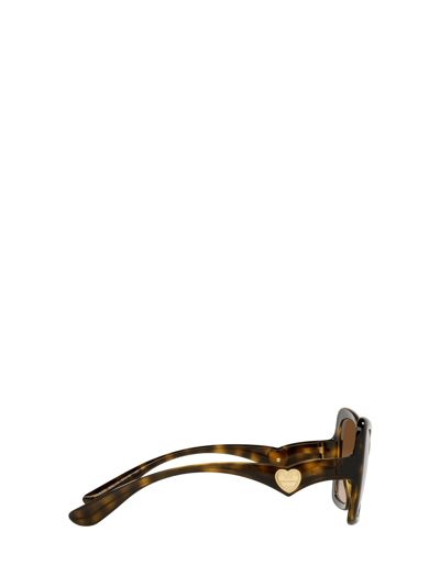 Shop Dolce & Gabbana Dg6153 Havana Female Sunglasses