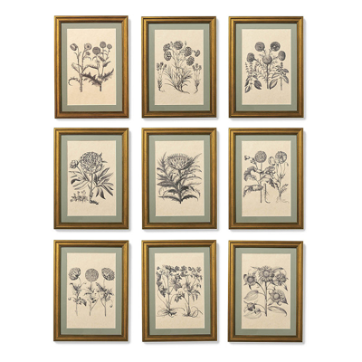 FRONTGATE SET OF 4 NEW YORK BOTANICAL GARDEN MERIAN BOTANICALS 