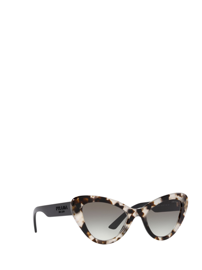 Shop Prada Pr 13ys Talc Havana Sunglasses