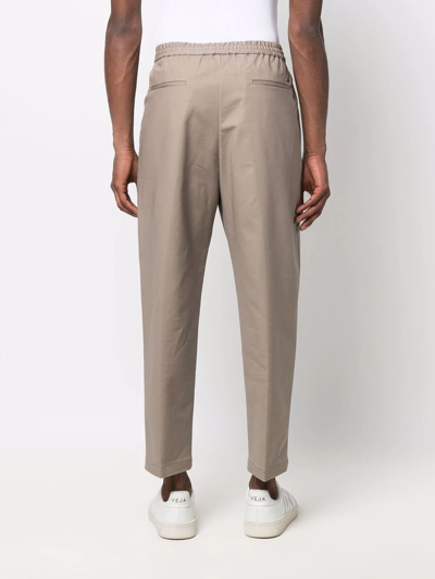 Shop Emporio Armani High-waisted Tapered Trousers In Braun