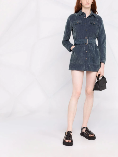 束腰风衣式连衣裙