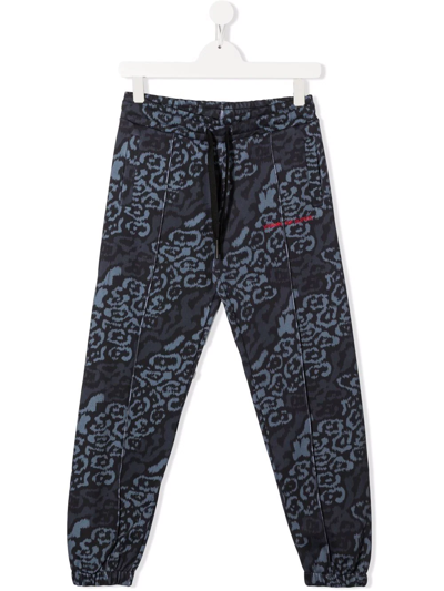 Shop Vision Of Super Teen Leopard-print Track Pants In Black