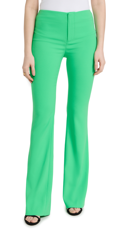 Shop Alice And Olivia Teeny Bootcut Pants In Garden Green