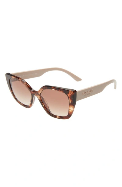 Shop Prada 52mm Butterfly Polarized Sunglasses In Brown Tortoise