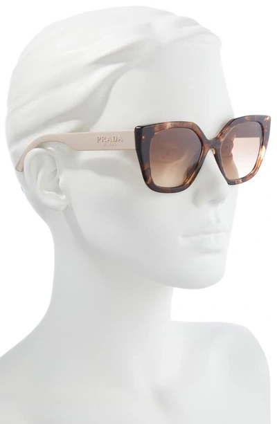 Shop Prada 52mm Butterfly Polarized Sunglasses In Brown Tortoise