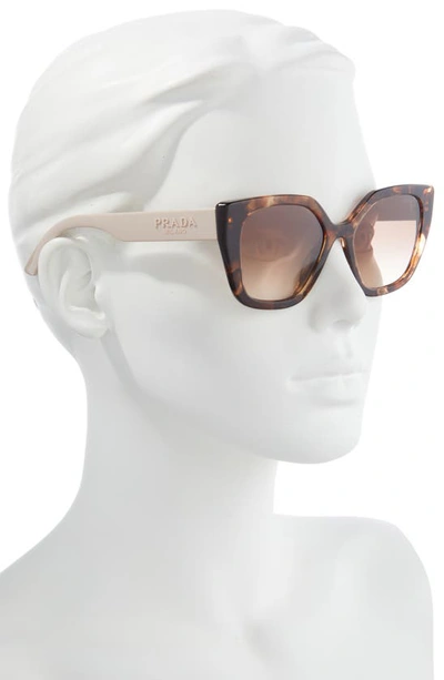 Prada 52mm Butterfly Polarized Sunglasses In Brown Tortoise