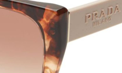 Shop Prada 52mm Butterfly Polarized Sunglasses In Brown Tortoise