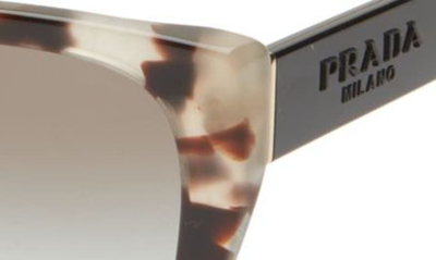 Shop Prada 52mm Butterfly Polarized Sunglasses In Grey Tortoise