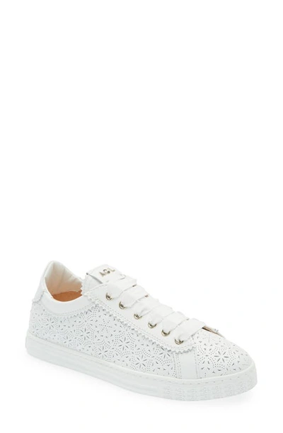 Shop Agl Attilio Giusti Leombruni Sade Perforated Sneaker In White