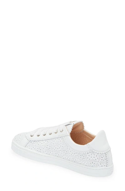 Shop Agl Attilio Giusti Leombruni Sade Perforated Sneaker In White