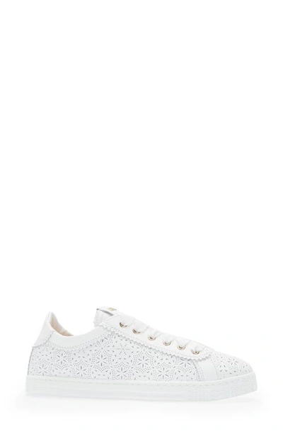 Shop Agl Attilio Giusti Leombruni Sade Perforated Sneaker In White