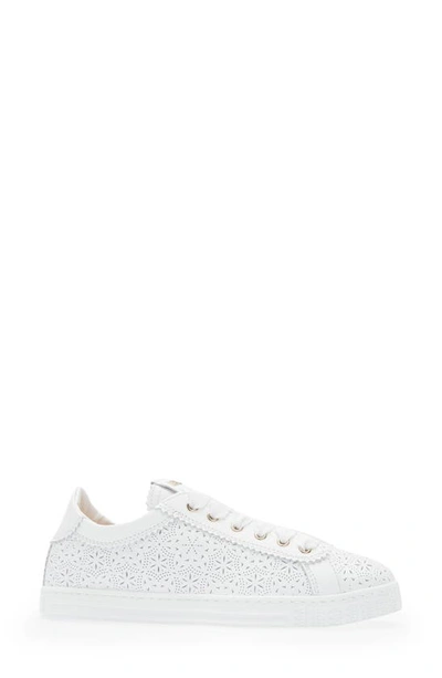 Agl Attilio Giusti Leombruni Sade Spring Low-top Sneakers In White